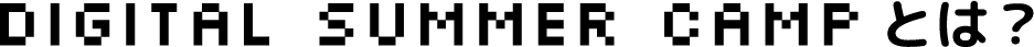 DIGITAL SUMMER CAMPとは？
